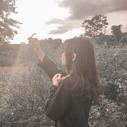 Honey_261