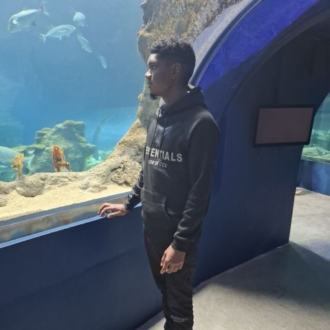 Thoma123 is Single in Baie Du Tombeau, Grand Port, 3