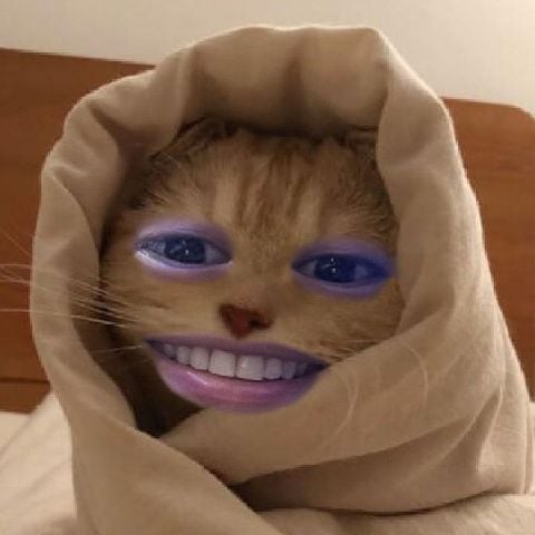 Mikameow