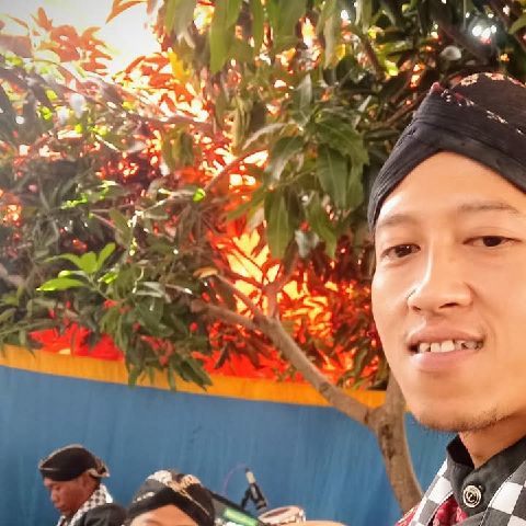 Ardi29