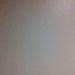 Manamu is Single in Everett, Washington