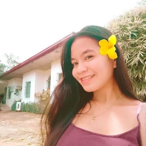 Honey7777777