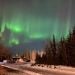 gStimac is Single in Soldotna, Alaska