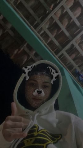 matheussilva007