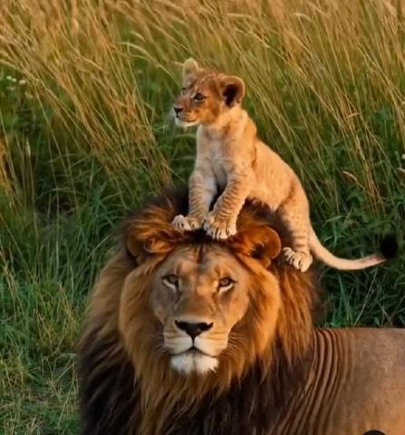 Raphrodjack is Single in Perth, Western Australia, 3