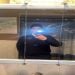 Vincent12344 is Single in Bellmore, New York