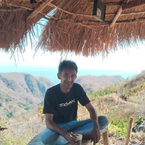 frieds