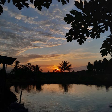 Arinkaaa