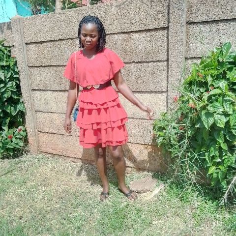 Brenda709376