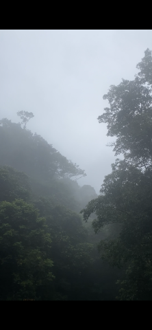 ranibunga1