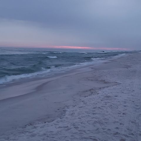 Naturally is Single in Tallahassee, Florida, 7