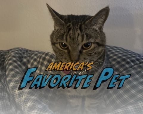 shoichiro is Single in Frisco, Texas, 1