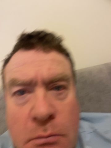 Findlayeveritt
