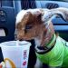 WretchLikeMe is Single in Baton Rouge, Louisiana, 1