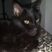 Jaldkajoi7 is Single in Llano, Texas, 3