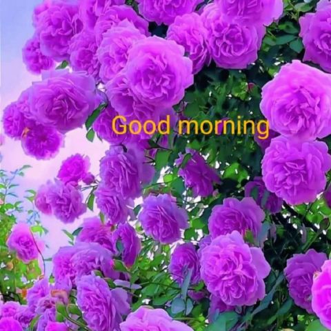 Shalini285 is Single in Jaipur, Rajasthan, 3