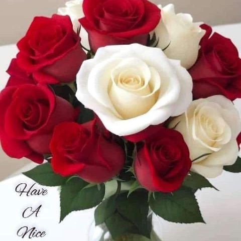 Shalini285 is Single in Jaipur, Rajasthan, 4