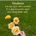 Joy1959 is Single in BELLEVUE, Washington