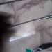 edith961 is Single in Alexander, Virginia