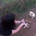Sanemcan is Single in Tapi, Gujarat, 2