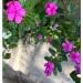 Toya74 is Single in Concord, North Carolina, 2