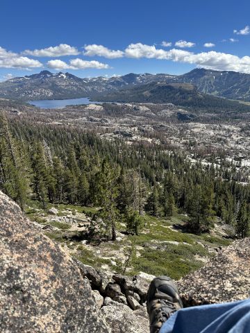 NorCalNative is Single in Georgetown, California, 8