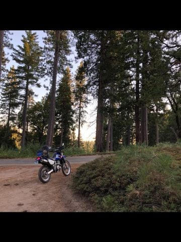 NorCalNative is Single in Georgetown, California, 13