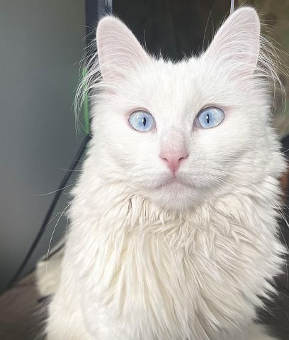 Saved16890 is Single in Sandusky, Ohio, 3