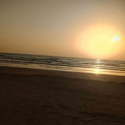 Joe_1697
