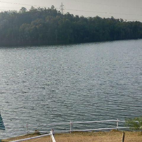 Larishisha
