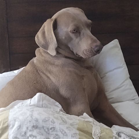 Faith7673 is Single in Ponca City, Oklahoma, 6