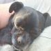 Beck46fiekd is Single in Echuca West, Victoria, 4