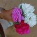 P_2407 is Single in Ahmedabad , Gujarat