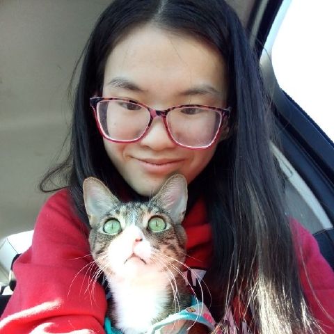 lizhongyu0