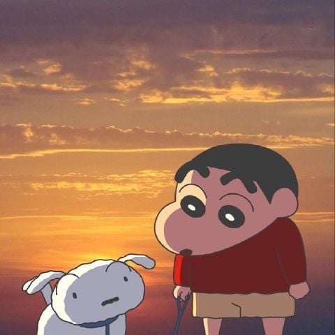 Lilyhf