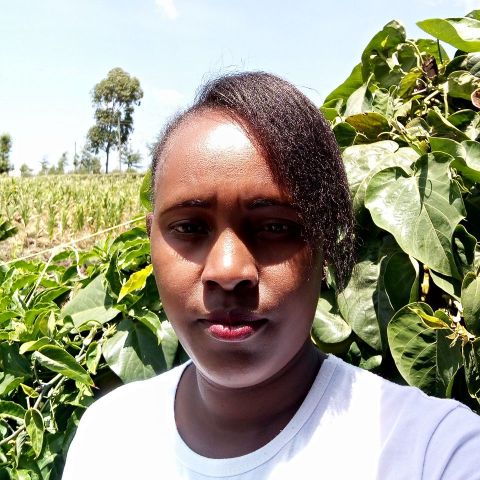 Graci739