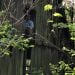 ZachR03621 is Single in Walls, Mississippi