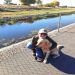 hgpiper is Single in NAMPA, Idaho, 3