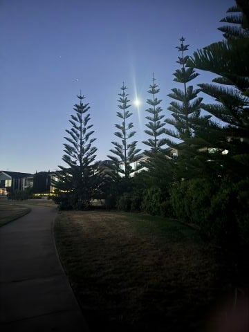 Jye1 is Single in melbourne, Victoria, 4