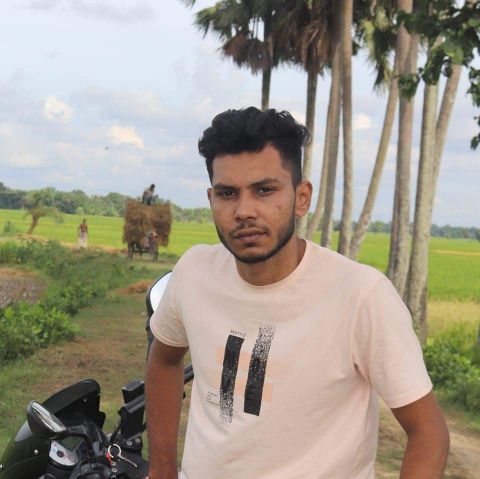 Prolay