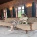 ValentynaPM is Single in Sokal, L'vivs'ka Oblast', 3