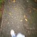 LizMaldonado is Single in Tela, Atlantida