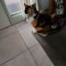 DebraAnne64 is Single in Port Fairy, Victoria, 3