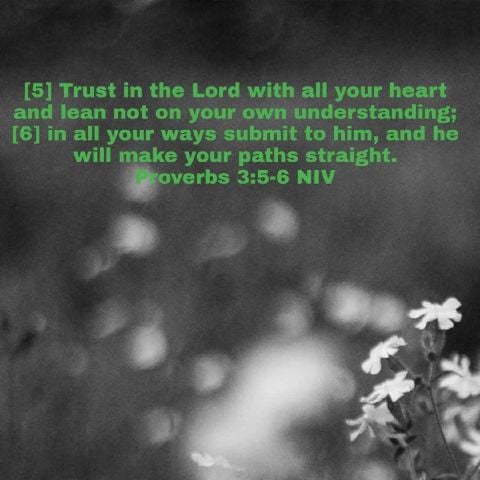 PsaLmS44