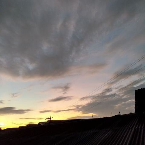soraa