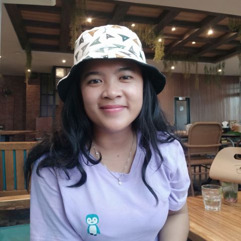 hermina520