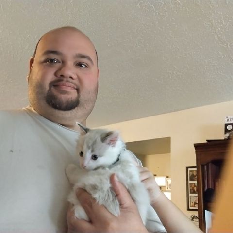 Joseph4412 is Single in Gresham, Oregon, 2