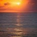 Harisha66 is Single in Red Hill's , Tamil Nadu