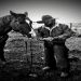 406cowboy is Single in Costa Mesa, California, 3