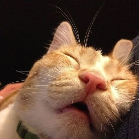 Gailybba